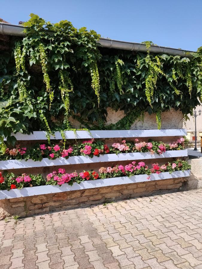 Bed and Breakfast La Ferme Du Grand Faubourg Pont-de-Vaux Exterior foto