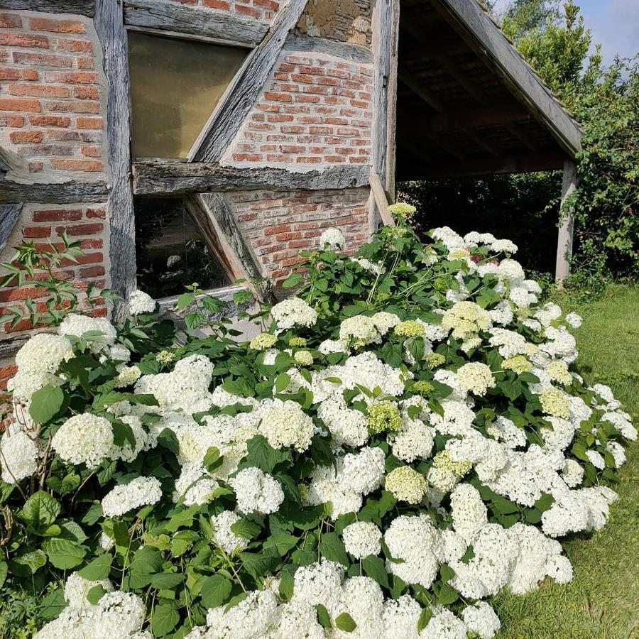 Bed and Breakfast La Ferme Du Grand Faubourg Pont-de-Vaux Exterior foto