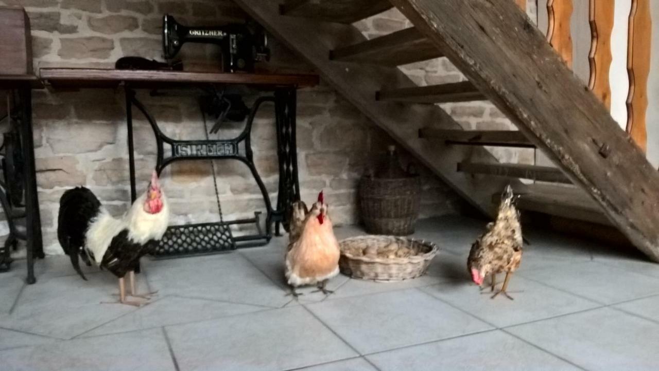Bed and Breakfast La Ferme Du Grand Faubourg Pont-de-Vaux Exterior foto